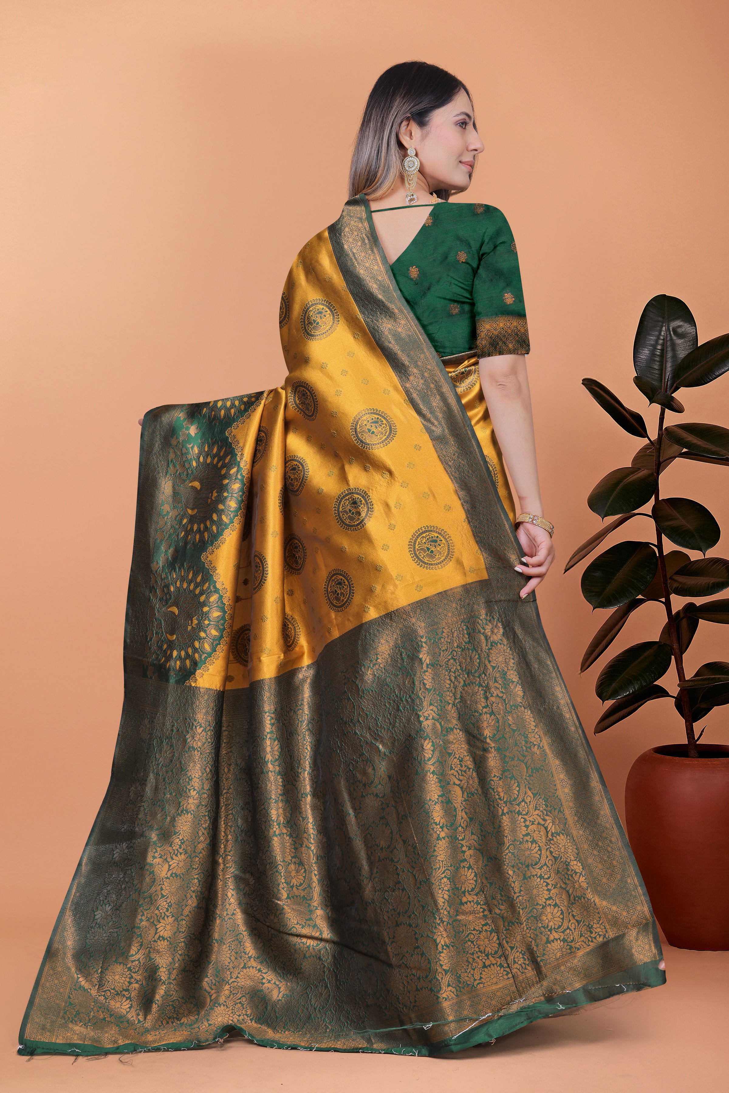 Banarasi Saree with Plum Borders with 8 Color